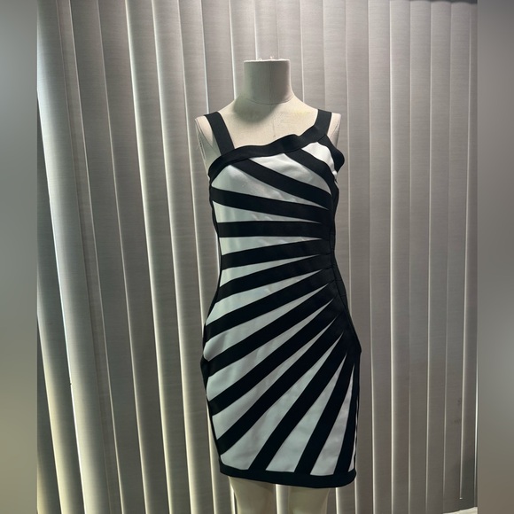 SALE🌸AMTIOUS zebra print dress 🍒 - Picture 5 of 9